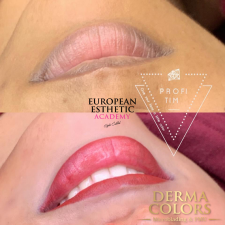 Picture of LIPS COMBO ONLINE COURSE